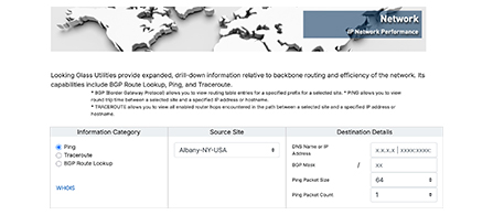 A screenshot of a 'Looking Glass Utilities' web tool with a header showing a 3D world map and the label 'Network IP Network Performance.' Below, an Information Category panel offers Ping, Traceroute, and BGP Route Lookup options with Source Site and Destination Details fields for running network diagnostics.