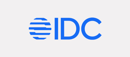 A logo centered on a light gray background. On the left is a blue globe icon formed from stacked horizontal bars suggesting latitude lines; to its right, bold blue capital letters spell “IDC.”
