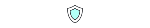 Security icon