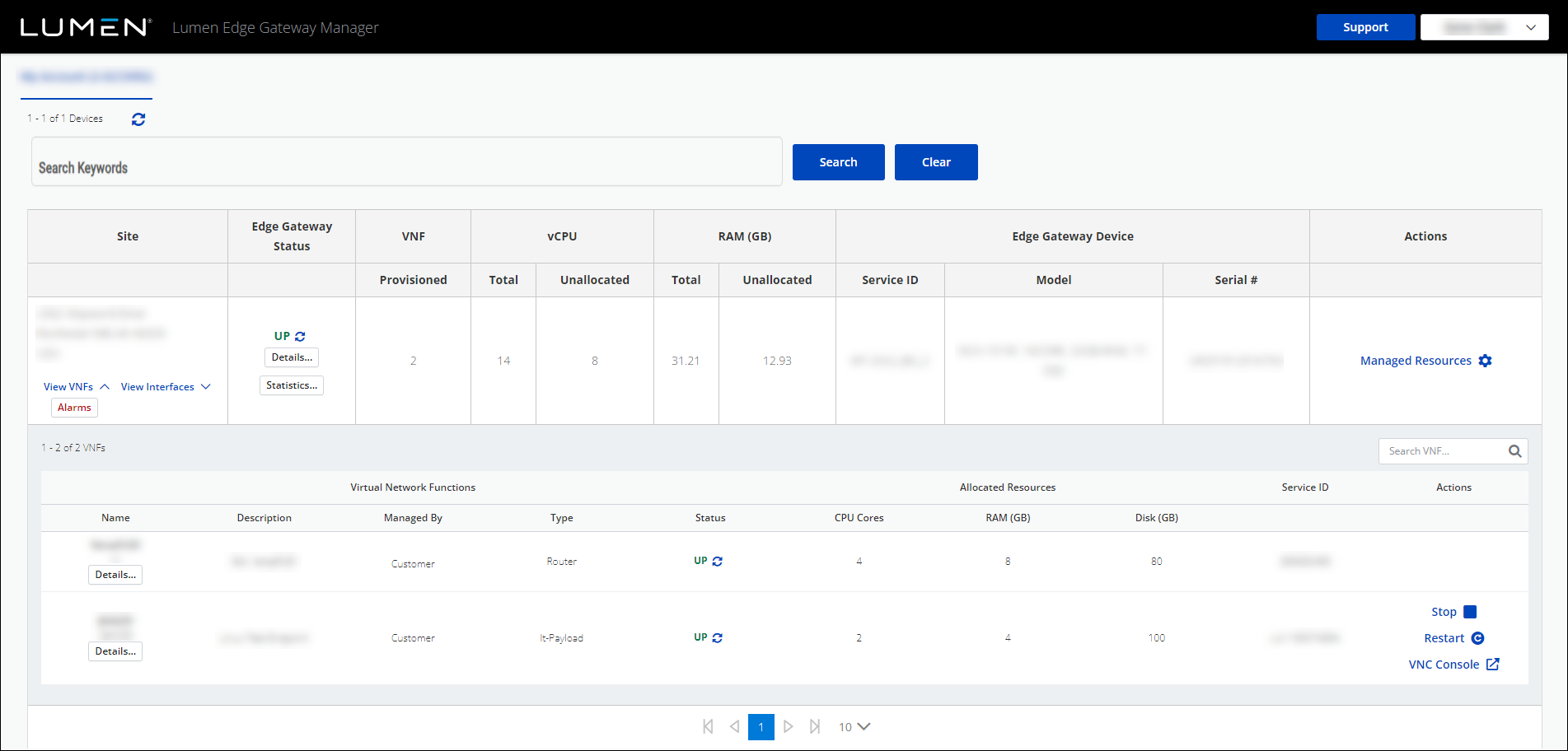 Edge Gateway device VNF details.