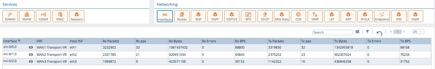 Monitor tab (showing Interfaces tab for an appliance)