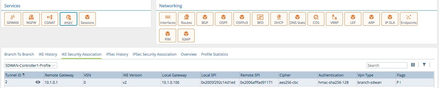 Monitor tab (showing IKE Security Association tab for an appliance)