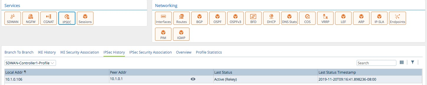 Monitor tab (showing IPSec History tab for an appliance)