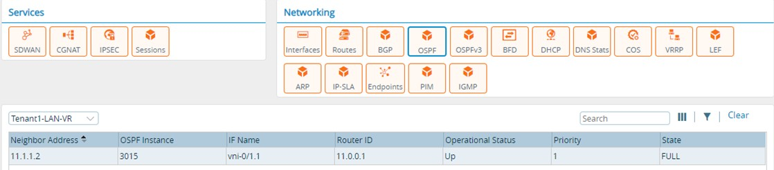 Monitor tab (showing OSPF tab for an appliance)