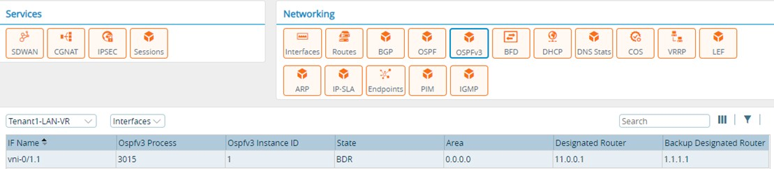 Monitor tab (showing OSPFv3 Interfaces view for an appliance)